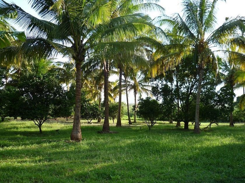 Simbamwenni Lodge And Camping Morogoro Экстерьер фото